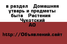  в раздел : Домашняя утварь и предметы быта » Растения . Чукотский АО